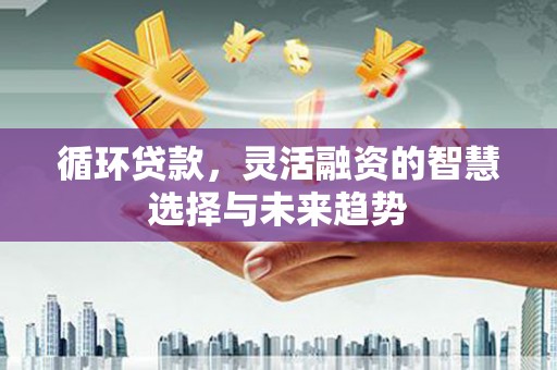 长安循环贷款，灵活融资的智慧选择与未来趋势