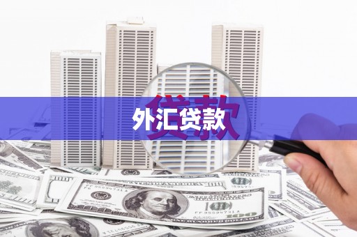 长安外汇贷款