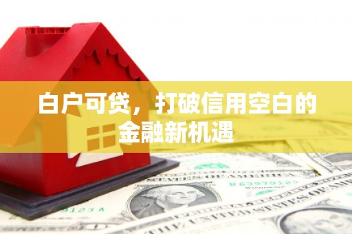 长安白户可贷，打破信用空白的金融新机遇