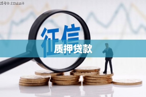 长安质押贷款