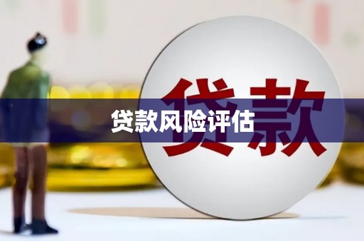 长安贷款风险评估