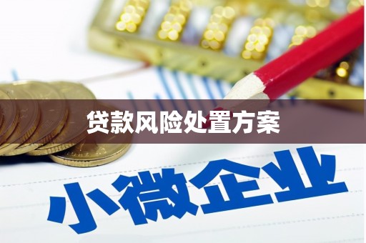 长安贷款风险处置方案