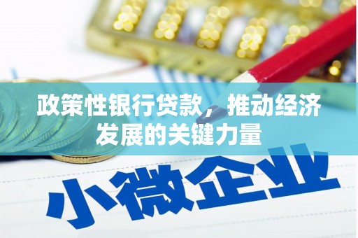 长安政策性银行贷款，推动经济发展的关键力量