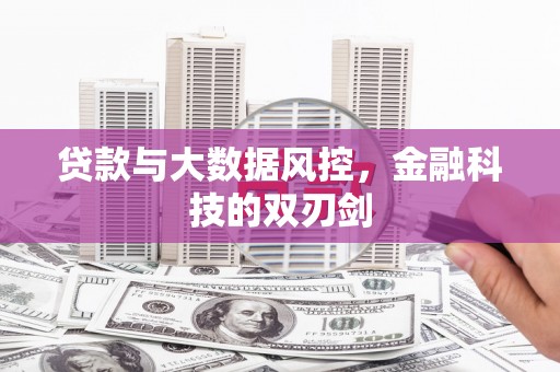 长安贷款与大数据风控，金融科技的双刃剑
