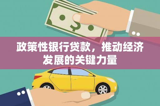 长安政策性银行贷款，推动经济发展的关键力量