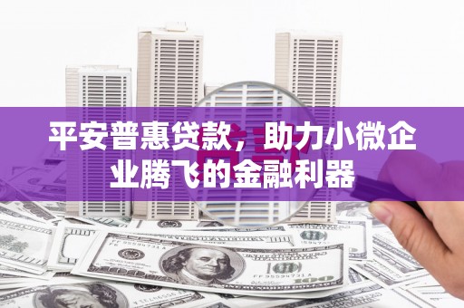 长安平安普惠贷款，助力小微企业腾飞的金融利器