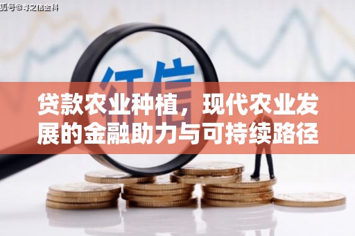 长安贷款农业种植，现代农业发展的金融助力与可持续路径
