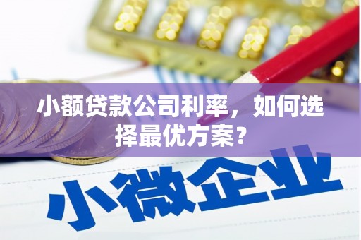长安小额贷款公司利率，如何选择最优方案？