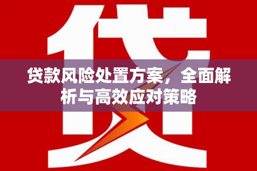 长安贷款风险处置方案，全面解析与高效应对策略