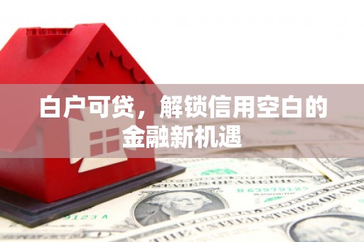 长安白户可贷，解锁信用空白的金融新机遇
