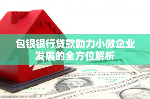 长安包银银行贷款助力小微企业发展的全方位解析