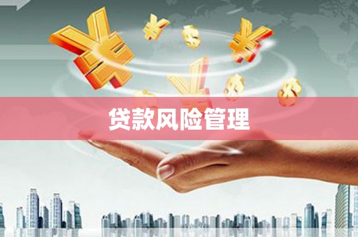 长安贷款风险管理