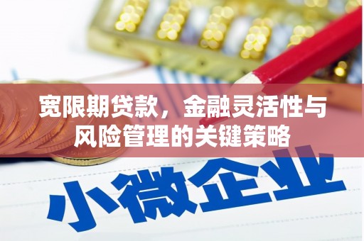 长安宽限期贷款，金融灵活性与风险管理的关键策略