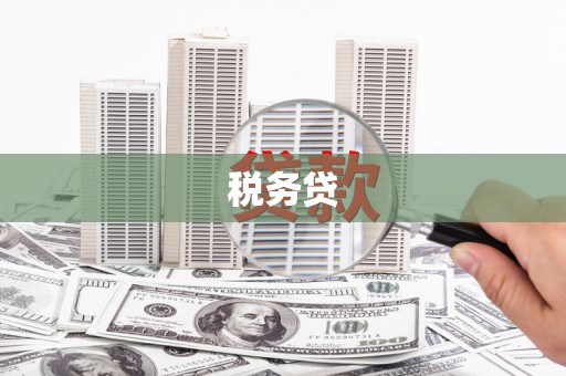 长安税务贷
