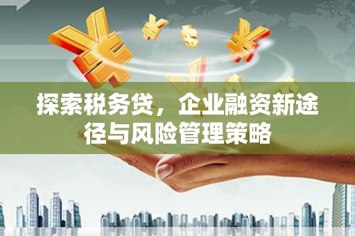 长安探索税务贷，企业融资新途径与风险管理策略