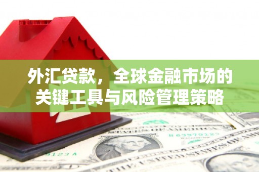 长安外汇贷款，全球金融市场的关键工具与风险管理策略