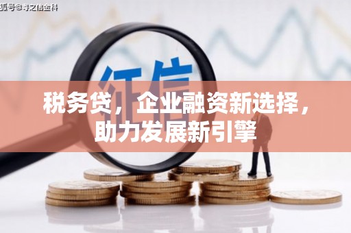 长安税务贷，企业融资新选择，助力发展新引擎