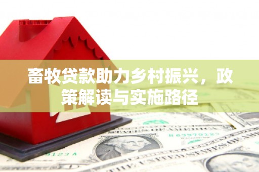 长安畜牧贷款助力乡村振兴，政策解读与实施路径
