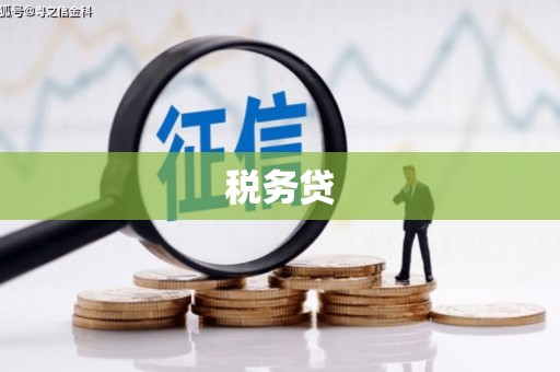 长安税务贷