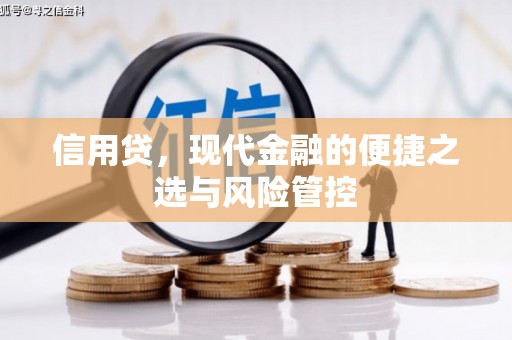 长安信用贷，现代金融的便捷之选与风险管控