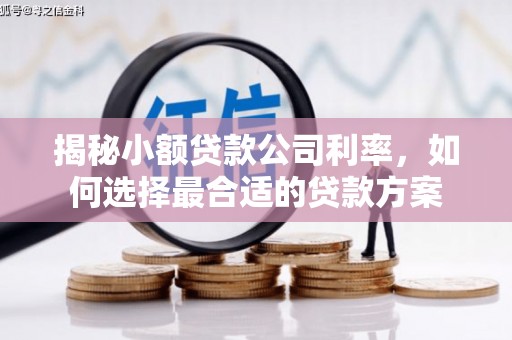 长安揭秘小额贷款公司利率，如何选择最合适的贷款方案