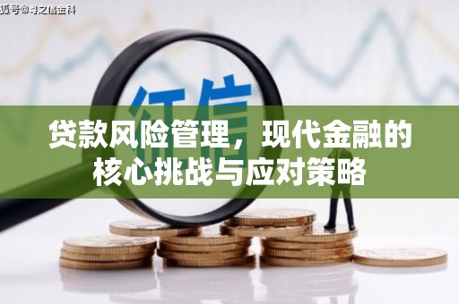 长安贷款风险管理，现代金融的核心挑战与应对策略