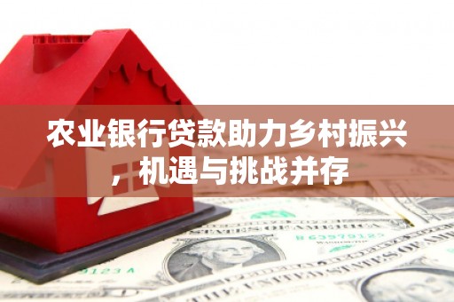 长安农业银行贷款助力乡村振兴，机遇与挑战并存