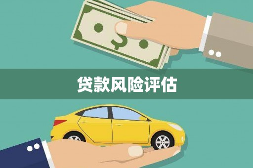 长安贷款风险评估