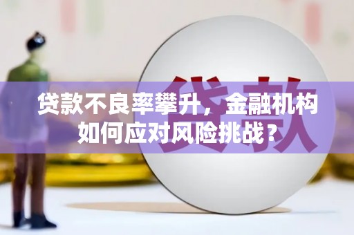 长安贷款不良率攀升，金融机构如何应对风险挑战？