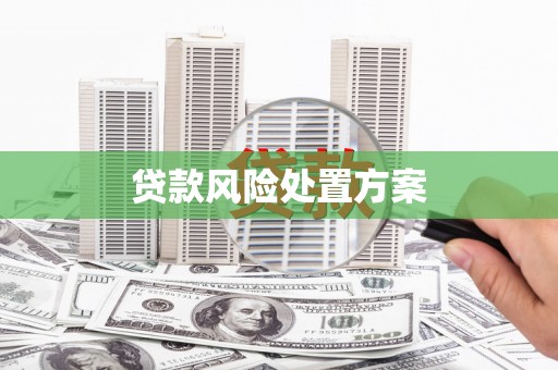 长安贷款风险处置方案